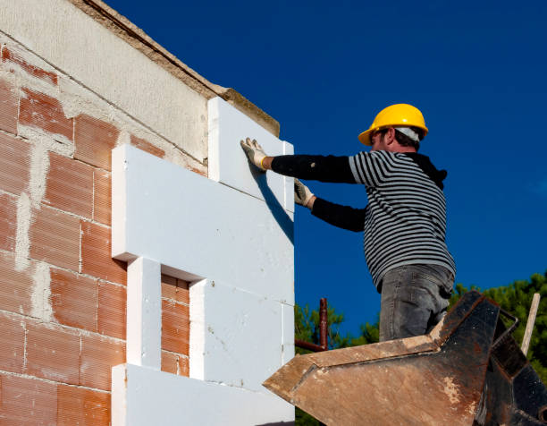 Best Insulation Contractor Near Me  in Euclid, OH