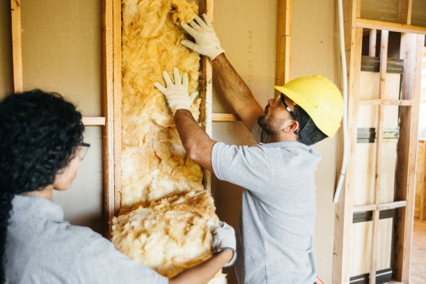 Best Attic Insulation Installation  in Euclid, OH