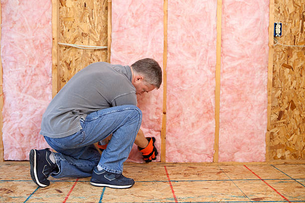 Best Residential Insulation Services  in Euclid, OH