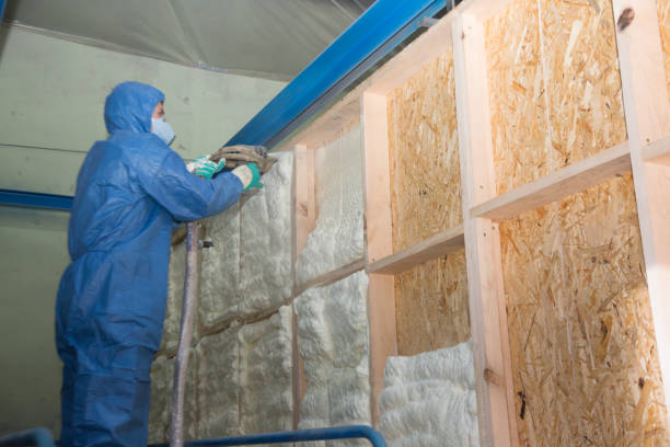 Best Insulation Contractors for Homes  in Euclid, OH
