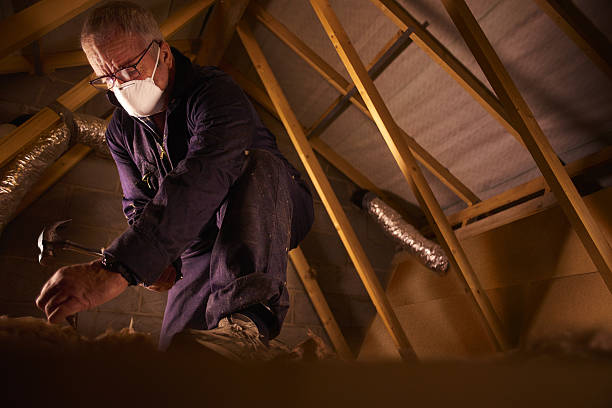 Best Spray Foam Insulation  in Euclid, OH
