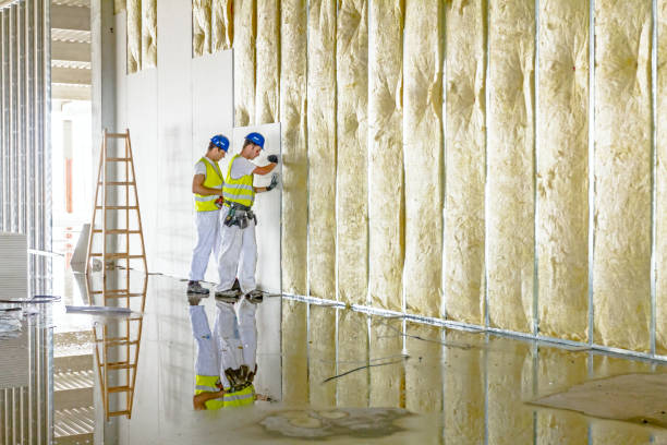 Best Cellulose Insulation  in Euclid, OH